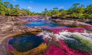 Caño Cristales río de los 7 colores en Colombia yo viajo con parkway agencia de viajes