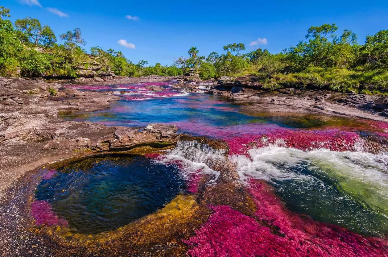 Caño Cristales río de los 7 colores en Colombia yo viajo con parkway agencia de viajes