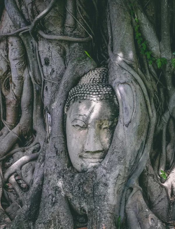 Destino Tailandia yo viajo con Parkway agencia de viajes